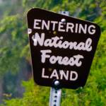 The National Forest Land sign sits at the end of the Juneau road. (Juneau Empire File)