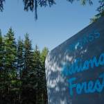 The Tongass National Forest sign on the way to the Mendenhall Glacier Visitor Center on Wednesday, Aug. 28, 2019. (Michael Penn | Juneau Empire File)