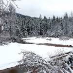 Herbert River, as seen on Feb. 26, meanders through a meadow and back into the woods. (Courtesy photos | Denise Carroll)