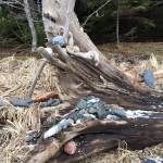 A beach sculpture seen on a North Douglas beach on Wednesday, March 4, 2020. (Courtesy Photo | Denise Caroll)