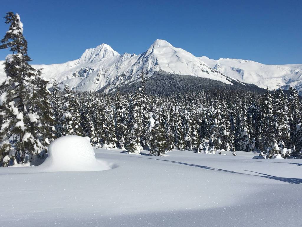 Its a Winter Wonderland in Spaulding Meadow on March 14, 2020. (Courtesy Photo | Denise Carroll)