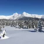 Wild Shots: Photos of Mother Nature in Alaska