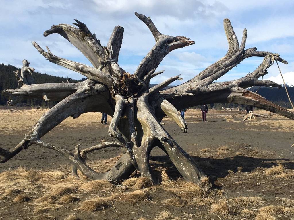 A spiky beach sculpture can be seen on Mendenhall Flats on Sunday, March 22, 2020. (Courtesy Photo | Denise Carroll)
