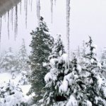 Winter view from John Muir cabin, Jan. 22. (Courtesy photo | Denise Carroll)