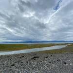 This photo shows the view across the water from the Middle Creek estuary, July 24, 2020. (Courtesy Photo/Denise Carroll)