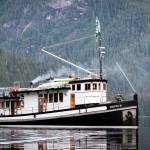The David B is anchored in Misty Fiords. The boat was built in 1929 at a shipyard on Lake Washington for the Libby, McNeil and Libby Company. That company owned a cannery in Bristol Bay. The boat was named after David W. Branch, the general manager of the companys salmon operation. (Courtesy Photo | Christine Smith)