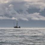 The fishing boat Carol Ann returns to Don D. Statter Harbor on Aug. 29, 2020.(Courtesy Photo / Kenneth Gill, gillfoto)
