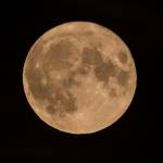 Harvest Moon rises above Mount Roberts on Oct. 1. (Courtesy Photo / Kenneth Gill, gillfoto)