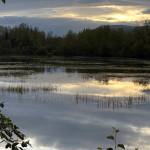 The sun peeks through the clouds over Dredge Lakes. (Courtesy Photo / Deborah Rudis)