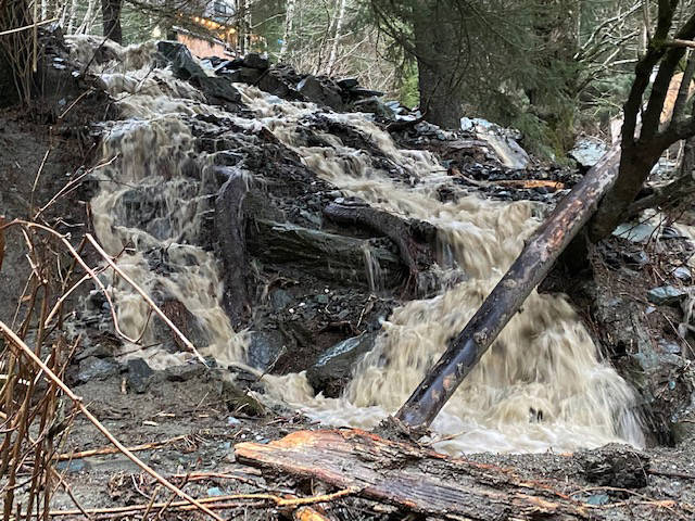 A little creek near a residential area grows in size on Nov. 30. (Courtesy Photo / Densie Carroll)
