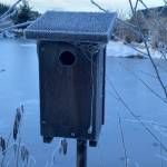 This birdhous near Kingfisher Pond gathers frost on Nov. 16. (Courtesy Photo / Deana Barajas)