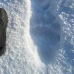 This Sunday, Nov. 15, photo shows a big paw print near a boot that is a foot in length. While out tracking some other critters along the West glacier Trail and the west shore of Mendenhall lake, I came across these brown bear tracks, writes Stacy Eldemar. They were frozen in the previously wet and slush snowfall. (Courtesy Photo / Stacy Eldemar)