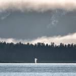Humpback Whale blows over by Outer Point, Douglas Island.