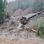 This photo hows damage from heavy rains and a mudslide 600 feet wide in Haines, Alaska, on Wednesday, Dec. 2, 2020. Authorities say six people are unaccounted for, and four homes were destroyed in the slide, with the search resuming Thursday morning for survivors. (Matt Boron/Alaska Department of Transportation and Public Facilities)
