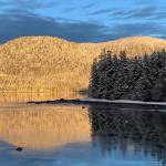 This photo shows snow- and sun-drenched mountains on Kupreanof Island in early morning, and a tree covered point on Mitkof Island at a cove by Marker 49 along the Inside Passage on Jan. 26. (Courtesy Photo / Cindi Lagoudakis)
