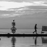 A bird takes flight at Don D. Statter Harbor while someone walks their dog on the afternoon of Dec 13. (Courtesy Photo / Roland Mueca)