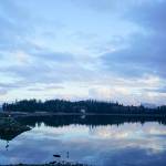 A heron sits in the sky reflected in the ocean. Taken March 8 in Craig. (Courtesy Photo / Marti Crutcher)