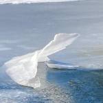 This photo shows an iced nimbus at Fish Creek. (Courtesy Photo / Mary Capobianco)