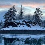 This photo shared on Feb. 7 shows a pair of eagles on a picturesque winter day. (Courtesy Photo / Norval Nelson)