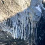 Long icy fingers stretch from the glacier to newly exposed rock on Feb. 13, 2021. (Courtesy Photo / Denise Carroll)