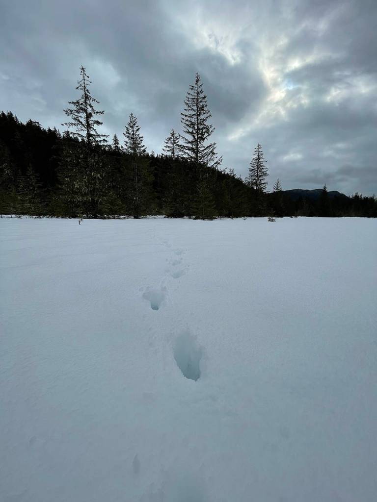 This photo was taken April 3 in the Amalga Meadows near the Eagle Valley Center. (Courtesy Photo / Deana Barajas)