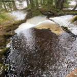 Springtime finds creek tributaries running hard while partially covered with ice at Point Bridget State Park on April 14, 2021. (Courtesy Photo / Denise Carroll)