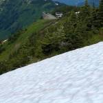Looking across an avalanche area at the top of ptarmigan ski run on July 7. (Courtesy Photo / Denise Carroll)