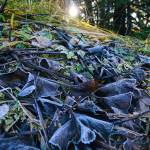 This photo of the frost-covered ground was taken in Craig on Oct. 17. (Courtesy Photo / Marti Crutcher)