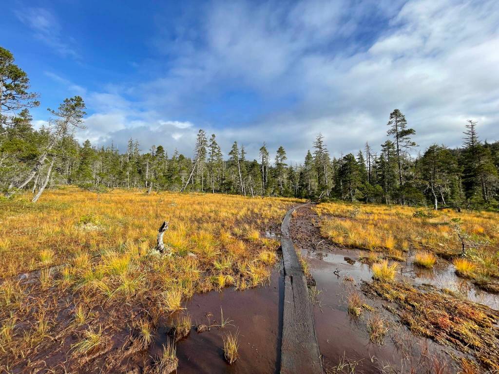 This photo was taken on the Auk Nu Trail on Sept. 25. (Courtesy Photo / Deana Barajas)