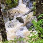 A stream cascades over rocks above Treadwell Ditch due to recent rain on Aug. 11. (Courtesy Photo / Denise Carroll)
