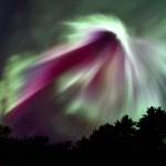 This photo shows the aurora borealis the morning of Nov. 4 at Lena Point. (Courtesy Photo / Tom Taylor)