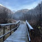 A frosty morning on the Perseverance Trail on Oct. 31. (Courtesy Photo / Bill Andrews)