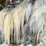 Icy fangs await a passing intruder along the Boy Scout trail on Dec. 18, 2021. (Courtesy Photo / Denise Carroll)