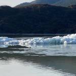 Large icebergs in Mendenhall Lake portend a rapidly shrinking glacier on Nov. 7.(Courtesy Photo / Denise Carroll)