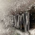This photo shows icy formations on a tumultuous Dupont trail creek. (Courtesy Photo / Denise Carroll)