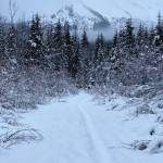 The path to Mount McGinnis on Dec. 1, 2021. (Courtesy Photo / Denise Carroll)