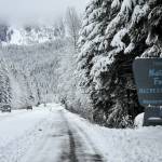 The entrance to the Mendenhall Glacier Recreation Area in the Tongass National Forest was covered in snow on Friday, Nov. 19, 2021, a day after federal authorities announced the next step in restoring the 2001 Roadless Rule on the forest. (Peter Segall / Juneau Empire)