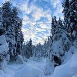 The sky opens up to expose a winter wonderland in the Dredge Lake area on Jan.8. (Courtesy Photo / Denise Carroll)