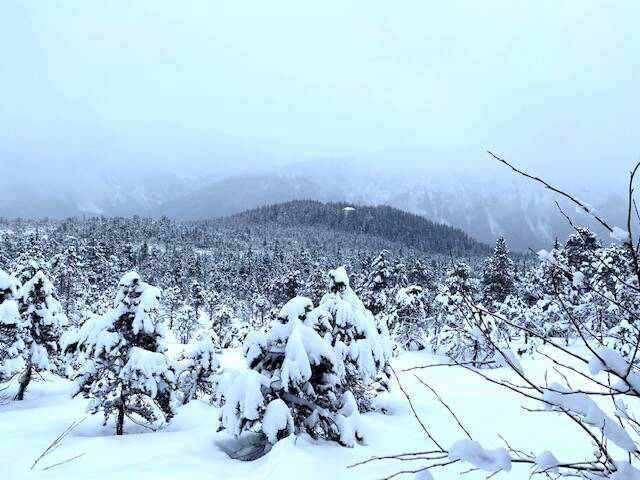 The sky is clearing over Gastineau Meadow on Feb. 4. (Courtesy Photo / Denise Carroll)