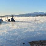 This photo shows morning at Andrews Marina (Courtesy Photo / Carolyn Kelley)