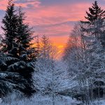 This photo shows a late-December sunset in Hoonah. (Courtesy Photo / Edna Skaflestad)