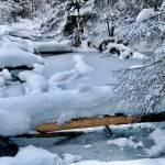 This photo shows Dredge Lakes pond on Dec. 21. (Courtesy Photo / Richard Fagnant)