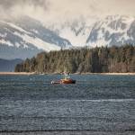 Commercial Fisher Phoenix leaning up Tanner Crab, south Benjamin Island with Chilkat Range, Southeast Alaska.