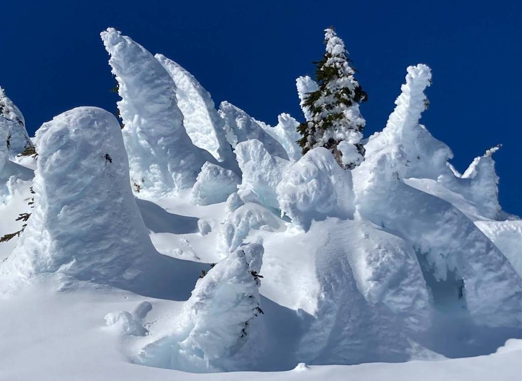 This photo shows snow creatures at Eaglecrest, writes Deborah Rudis. (Courtesy Photo / Deborah Rudis)