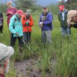 Discovery Southeast naturalists Richard Carstensen and Steve Merli examine a set of footprints in the mud with the help of other group members. (Clarise Larson // Juneau Empire)