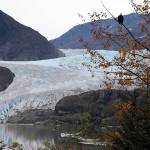 A bald eagle looks toward the Mendenhall Glacier near the visitor center on Tuesday. The U.S. Forest Service is proposing expanding a ban on mining and other mineral resource extraction activities from an area on the glacier a short distance from the existing face to several hundred yards inward, extending outward to the mountainsides along both sides. (Jonson Kuhn / Juneau Empire)
