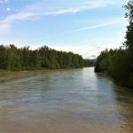 Southeast Alaskas Chilkat River is seen on May, 30, 2013. The Chilkat and its main tributary, the Klehini River, are listed among the nations most at-risk rivers because of the planned Palmer Project copper and zinc mine being developed upstream from the village of Klukwan. (U.S. Geological Survey Alaska Science Center)