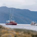 Two commercial troll fishing boats pass each other on June 2, 2020, at Mountain Point in Ketchikan, Alaska. A ruling from a U.S. judge in Seattle could effectively shut down commercial king salmon trolling in Southeast Alaska  a valuable industry that supports some 1,500 fishermen  after a conservation group challenged the harvest as a threat to protected fish and the endangered killer whales that eat them. (Dustin Safranek / Ketchikan Daily News)