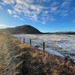 Yukon River ice flows past the metal fence that marks the top of the seawall in Eagle, Alaska on the evening of May 12, 2023, a few hours before the ice overtopped the wall. (Courtesy Photo / Ned Rozell)