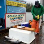 Mike Jaenicke, a dock sampler for the Alaska Department of Fish and Game, scans a tagged fish at the Douglas Harbor station during the 77th annual Golden North Salmon Derby on Saturday. (Meredith Jordan / Juneau Empire)